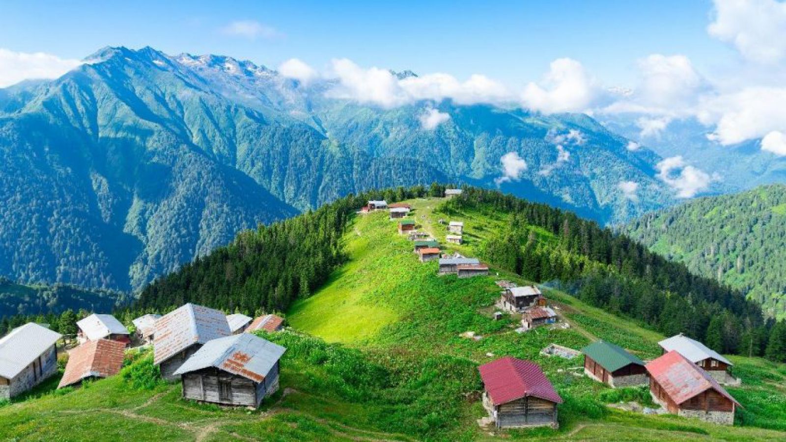 Karadeniz Yayla Turları: Doğanın Kalbinde Eşsiz Bir Macera