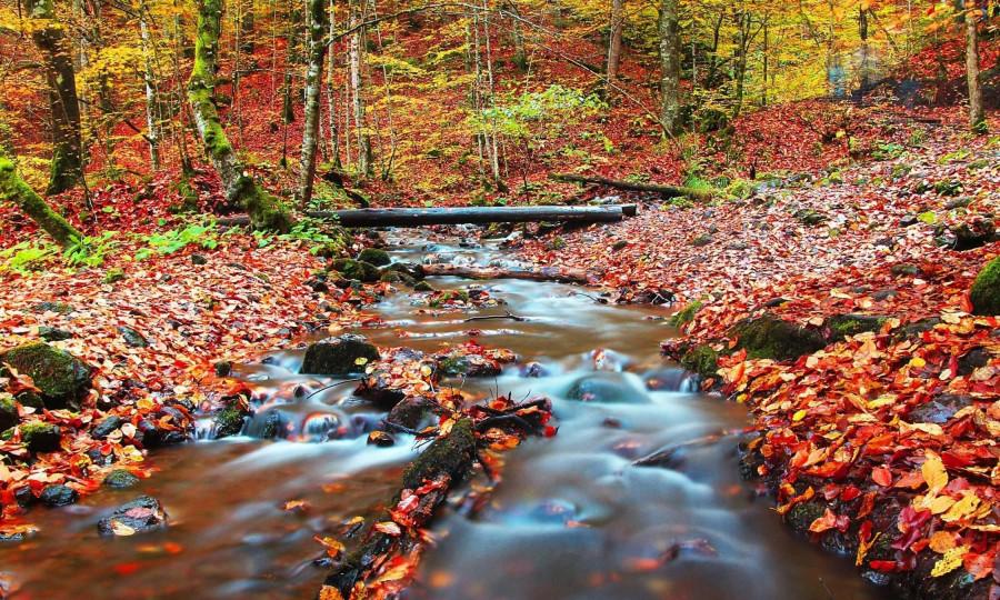 Sivas Çıkışlı Yedigöller Ve Gölcük Turu