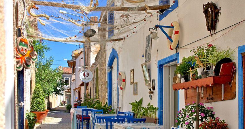 25.Seferihisar Mandalina Şenliği Turu | 1 Gece 2 Gün