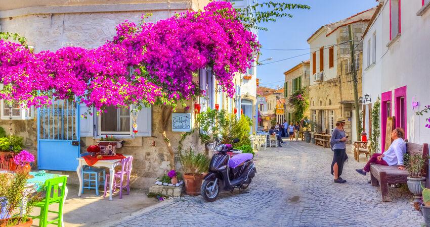 25.Seferihisar Mandalina Şenliği Turu | 1 Gece 2 Gün