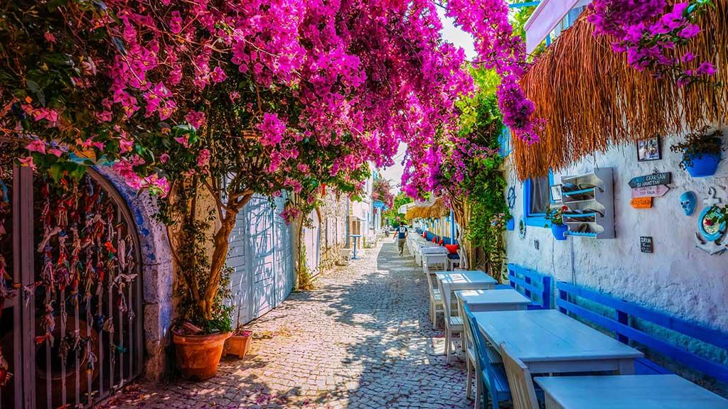 25.Seferihisar Mandalina Şenliği Turu | 1 Gece 2 Gün