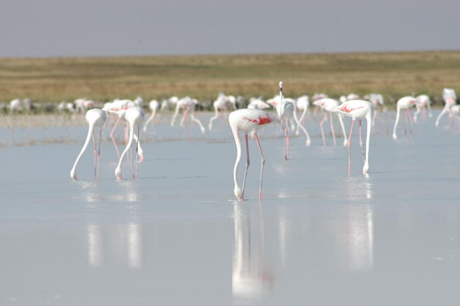 Doğu Ekspresi Turu | 6 Gece 7 Gün