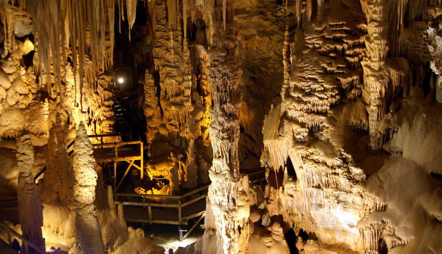 Kuzey Yıldızı Doğu Karadeniz ve Batum Turu (4 Gece Otel Konaklamalı): Tadı damağınızda kalacak Kuzeyin Yıldızı olan Karadeniz’i yaşamaya ne dersiniz! Horon vurmak Tulumun ve Kemençenin tınısını dinlemeye gidiyoruz İşi Bir Bilene sor demişler neden mi ? Hayden Karadenize daaaaaaaaa