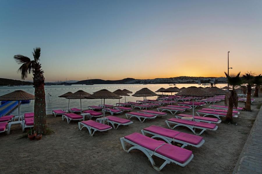 Bodrum Ladonia Del Mare Hotel Herşey Dahil (Gidiş Dönüş Otobüs Ulaşımı Dahildir): Bodrum Bodrum Turu İle Herşey Dahil Otelde Kalıyoruz Gece Eğlenceleri ve Beach Partilerde Eğlence Zamanı
