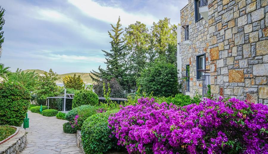 Amilla Beach Resort Herşey Dahil (Gidiş Dönüş Otobüs Ulaşımı Dahildir): Bodrum Bodrum Turu İle Herşey Dahil Otelde Kalıyoruz Gece Eğlenceleri ve Beach Partilerde Eğlence Zamanı