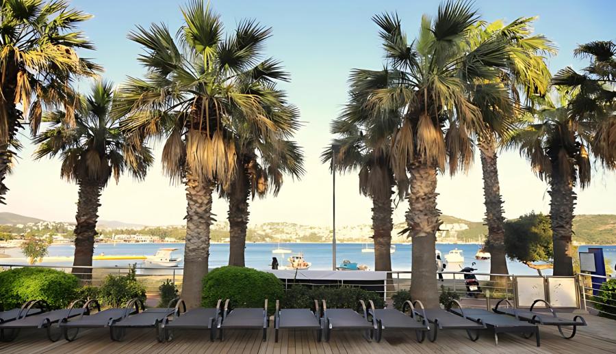 Amilla Beach Resort Herşey Dahil (Gidiş Dönüş Otobüs Ulaşımı Dahildir): Bodrum Bodrum Turu İle Herşey Dahil Otelde Kalıyoruz Gece Eğlenceleri ve Beach Partilerde Eğlence Zamanı