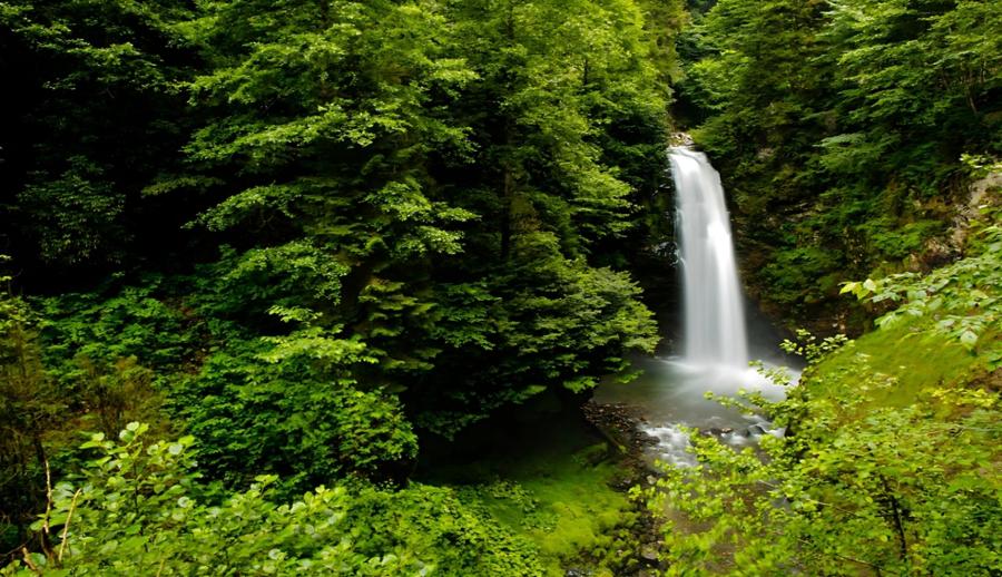 Ramazan Bayramı Özel Thy İle Uçaklı Karadeniz Yaylaları ve Batum Turu (3 Gece Otel Konaklamalı) : Kendinizi rüyada hissedeceğiniz, her anını unutamayacağınız Karadeniz tatiline sizleri de bekliyoruz. Mavi ve yeşili hiç bu kadar ahenkle dans ettiğini görmemiştiniz. Tulum ile horon vurmaya kemençenin tınısını dinlemeye gidiyoruz daaaaaa...