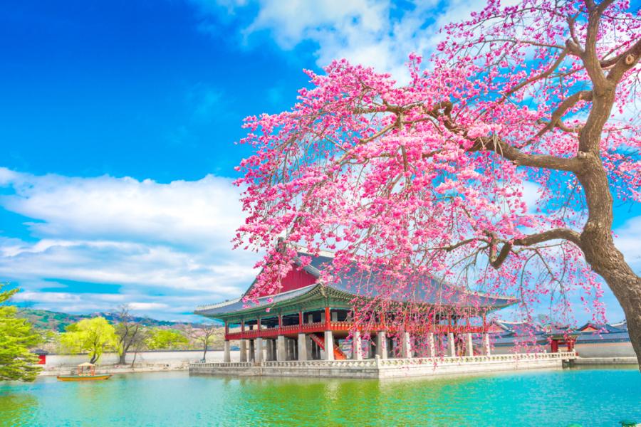 Japonya Turu 8 Gece – 10 Gün Miat Hava Yolları ile EJ001