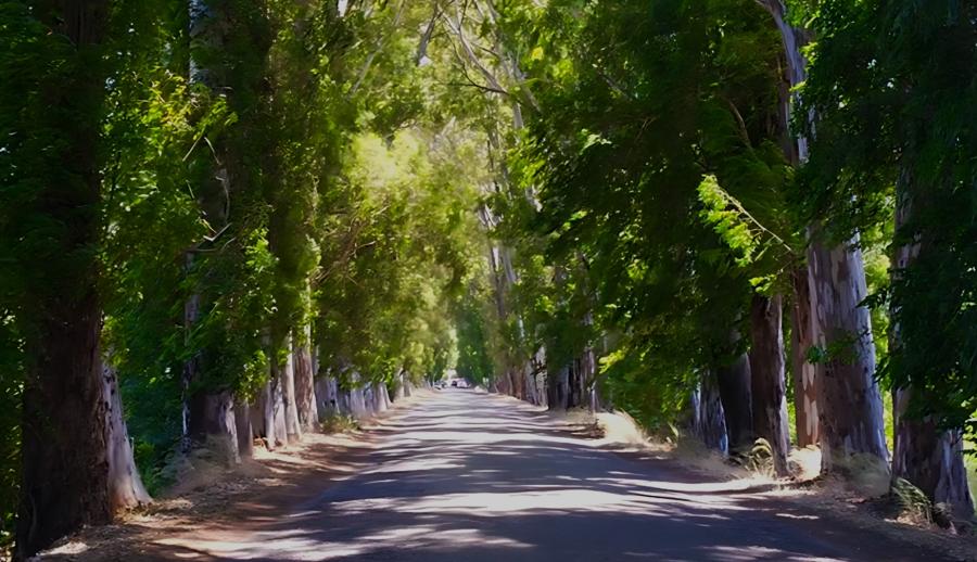 Süper Promosyon Rüya Gibi Ege Akdeniz Antalya Kaş Fethiye Ölüdeniz Marmaris Bodrum Turu (5 Gece Otel Konaklamalı): Rüya gibi Ege Akdeniz Turlarımız ile Ülkemizin önde gelen turistik mekânlarında geçireceğiniz bir hafta boyunca; denizin, güneşin, kumsalın ve eğlencenin doyumsuz tadına erişeceksiniz. Tekne Turları, Jeep Safari, Rafting, Dalış Turu, Yamaç Paraşütü, Saklıkent, Ölüdeniz, Iztuzu Plajı.