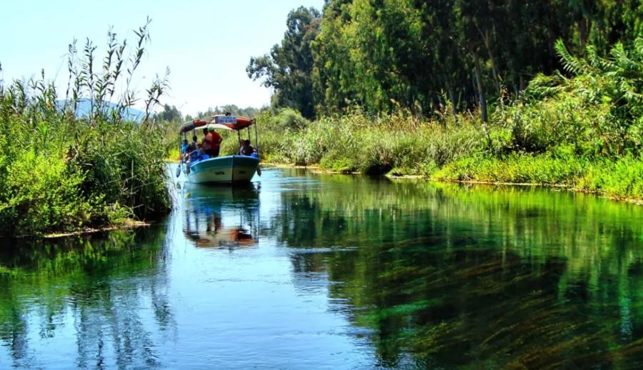 Süper Promosyon Rüya Gibi Ege Akdeniz Antalya Kaş Fethiye Ölüdeniz Marmaris Bodrum Turu (5 Gece Otel Konaklamalı): Rüya gibi Ege Akdeniz Turlarımız ile Ülkemizin önde gelen turistik mekânlarında geçireceğiniz bir hafta boyunca; denizin, güneşin, kumsalın ve eğlencenin doyumsuz tadına erişeceksiniz. Tekne Turları, Jeep Safari, Rafting, Dalış Turu, Yamaç Paraşütü, Saklıkent, Ölüdeniz, Iztuzu Plajı.