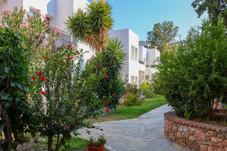 Bodrum Leo Beach Hotel Her Şey Dahil ( Gidiş Dönüş Otobüs Ulaşımı Dahildir ) : Bodrum Turu İle Her Şey Dahil Otelde Kalıyoruz Gece Eğlenceleri ve Beach Partilerde Eğlence Zamanı