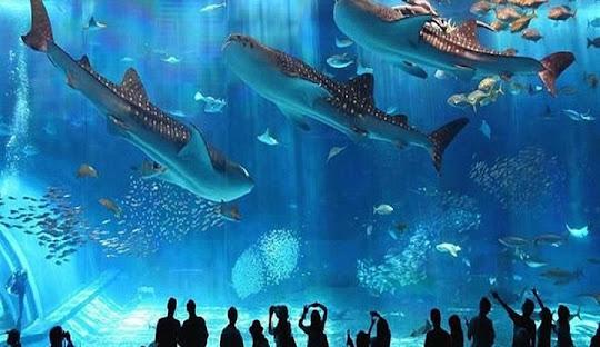Kızıldeniz'in Altın Sahilleri; Prestij Hurghada Turu ( 3 Gece Otel Konaklamalı ): Kapı Vizeli
Hurghada 3 Gece Her Şey Dahil Konaklama
Ajet Hava Yolları Uçuş İmkanı
