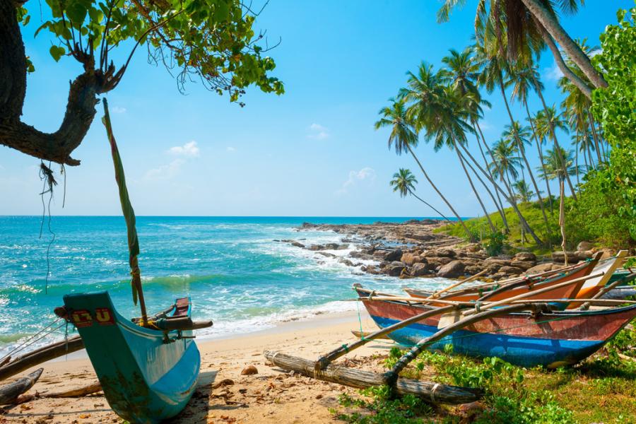 Elegant Srı Lanka Air Arabia Hava Yolları İle 5 Gece ( Cmb-Cmb ): Air Arabia Havayolları ile Uçuş İmkanı
Sıgırıya 2 Gece Konaklama
Srı Lanka 1 Gece Konaklama
Galle 1 Gece Konaklama
Colombo 1 Gece Konaklama
