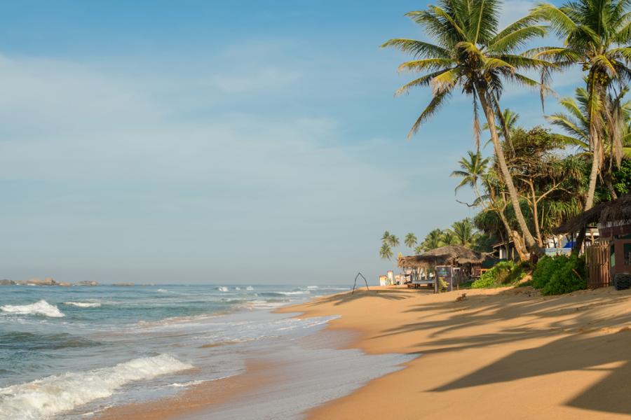 Elegant Srı Lanka Air Arabia Hava Yolları İle 5 Gece ( Cmb-Cmb ): Air Arabia Havayolları ile Uçuş İmkanı
Sıgırıya 2 Gece Konaklama
Srı Lanka 1 Gece Konaklama
Galle 1 Gece Konaklama
Colombo 1 Gece Konaklama
