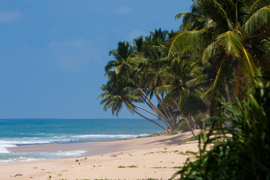 Elegant Srı Lanka Türk Hava Yolları İle 6 Gece  ( Cmb - Cmb  ): Türk Hava Yolları İle Uçuş İmkanı
Habarana 2 Gece Konaklama
Kandy 1 Gece Konaklama
Nuwara Eliya 1 Gece Konaklama
Colombo 1 Gece Konaklama
Negombo 1 Gece Konaklama