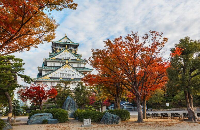 Etihad Hava Yolları ile Comfort Japonya Turu Etihad Hava Yolları ile Ekstra Turlar Ve Çay Seremonisi Dahil ( 6 Gece Otel Konaklamalı ): Etihad Hava Yolları ile Uçuş İmkanı
Osaka 3 Gece Konaklama
Tokyo 3 Gece Konaklama