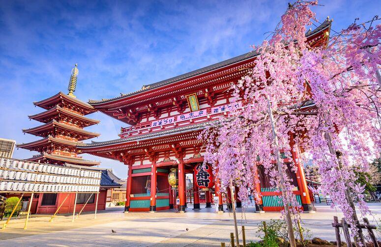 Etihad Hava Yolları ile Comfort Japonya Turu Etihad Hava Yolları ile Ekstra Turlar Ve Çay Seremonisi Dahil ( 6 Gece Otel Konaklamalı ): Etihad Hava Yolları ile Uçuş İmkanı
Osaka 3 Gece Konaklama
Tokyo 3 Gece Konaklama