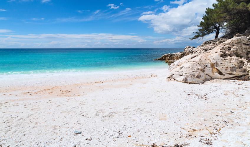 Otobüslü Halkidiki Paralia Thassos Masalı  Adası Turu  (2 Gece Konaklamalı) : Her Perşembe Kesin Hareketli
 2 Gece Selanik Konaklama

