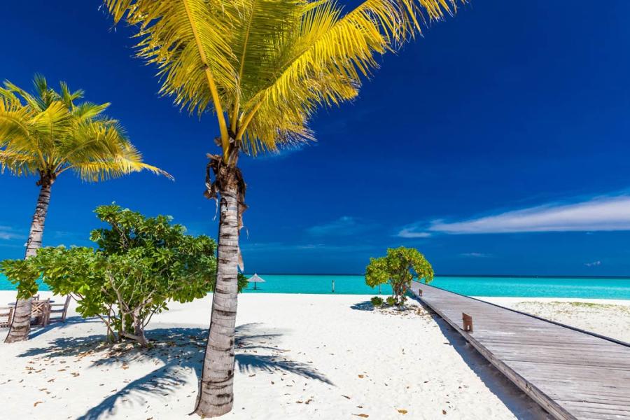 Maldıvler  Sıngapur  Phuket Türk Hava Yolları İle 8 Gece ( MLE-HKT ): Türk Hava Yolları İle Uçuş İmkanı
Maldivler 3 Gece Konaklama
Singapur 2 Gece Konaklama
Phuket 3 Gece Konaklama
Vizesiz
Maldivler'de 3 Gece Tam Pansiyon Konaklama Fırsatı