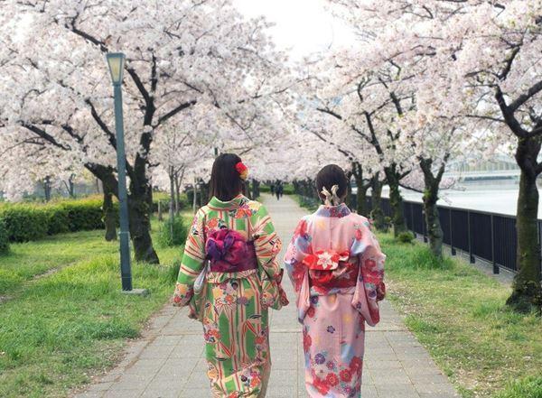 Büyük Japonya 2026 6 Gece Ana (Itm-hnd): Direkt Uçuş Japonya Turu