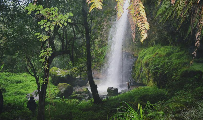 Elegant Kenya Tanzanya Büyük Göç Turu ( 9 Gece Otel Konaklamalı ): Türk Hava Yolları İle Uçuş İmkanı
Safari Lodge Konaklama 
Tüm Safari Turları ve Tüm Yemekler Fiyata Dahil
Nairobi 1 Gece Konaklama
Zanzibar  3 Gece Konaklama
Ngorongoro Krateri 1 Gece Konaklama
Masai Mara National Park 2 Gece Konaklama
Serengeti National Park 2 Gece Konaklama