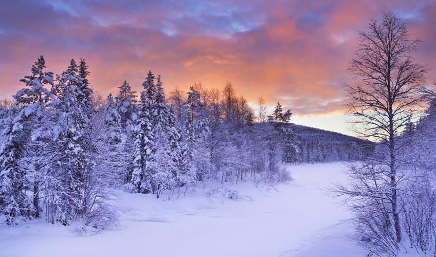 Sevgililer Gününe Türk Hava Yolları İle Özel Comfort Lapland (3 Gece Otel Konaklamalı ): Türk Hava Yolları İle Uçuş İmkanı 
3 Sabah Kahvaltısı Dahil 
Rovanıemı 3 Gece Otel Konaklaması 
