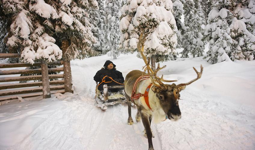 Sevgililer Gününe Türk Hava Yolları İle Özel Comfort Lapland (3 Gece Otel Konaklamalı ): Türk Hava Yolları İle Uçuş İmkanı 
3 Sabah Kahvaltısı Dahil 
Rovanıemı 3 Gece Otel Konaklaması 
