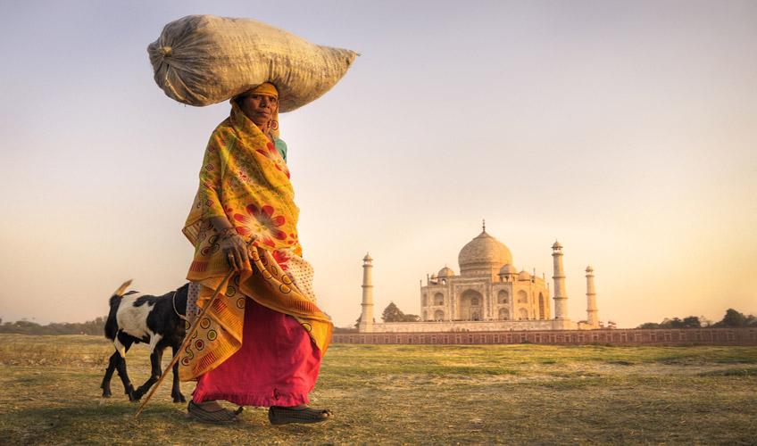 Etihad Havayolları İle Jaipur, Hindistan Turu ( 5 Gece Otel Konaklamalı ): Etihad Havayolları İle Uçuş İmkanı 
5 Sabah Kahvaltısı 
4 Akşam Yemeği
Jaipur 2 Gece Konaklama
Agra 2 Gece Konaklama
Jaipur 1 Gece Konaklama