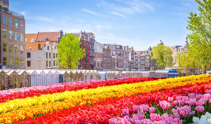 Avrupa'nın Kalbi Benelux  Paris Turu Ajet Havayolları İle 7 Gece 8 Gün Promosyon (RTM-FRA)