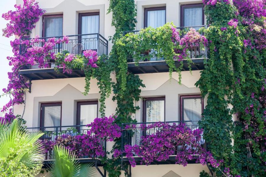 Bodrum Crystal Golden Age Hotel (Gidiş Dönüş Otobüs Ulaşımı Dahildir): Bodrum Crystal Golden Age Hotel Herşey Dahil Otel' de Kalıyoruz Gece Eğlenceleri ve Beach Partilerde Eğlence Zamanı...