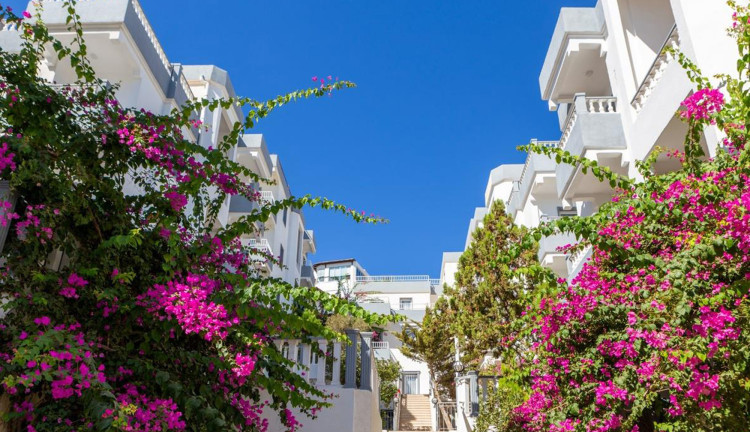 Bodrum Fora Holiday Resort Hotel (Gidiş Dönüş Otobüs Ulaşımı Dahildir) : Bodrum Fora Holiday Resort Hotel Turu İle Herşey Dahil Otelde Kalıyoruz Gece Eğlenceleri ve Beach Partilerde Eğlence Zamanı