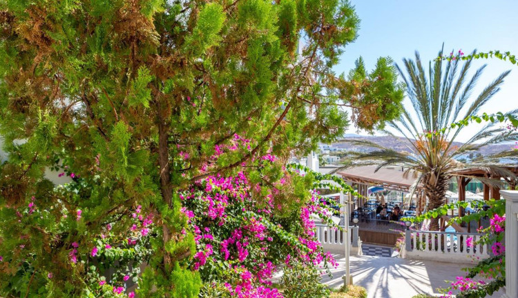 Bodrum Fora Holiday Resort Hotel (Gidiş Dönüş Otobüs Ulaşımı Dahildir) : Bodrum Fora Holiday Resort Hotel Turu İle Herşey Dahil Otelde Kalıyoruz Gece Eğlenceleri ve Beach Partilerde Eğlence Zamanı