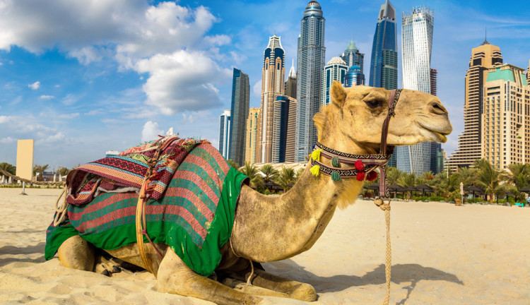 Ajet Hava Yolları İle Bir Dubai Masalı Turu Dubai Şehir Turu Ve Abra Geçişi Dahil Dubai Varışlı  ( 3 Gece Otel Konaklamalı ): Ajet Hava Yolları İle Uçuş
Dubai Havalimanı Varışlı
3 Gece Dubai Konaklama
3 Sabah Kahvaltısı Fiyata Dahil
Dubai Şehir Turu Ve Abra Geçişi Fiyata Dahil