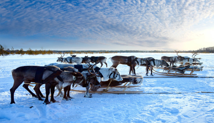 Ajet Hava Yolları İle Kuzey Işıkları Turu Lapland  Murmansk  St. Petersburg  Moskova  Tüm Panoramik Şehir Turları Dahil ( 5 Gece Otel Konaklamalı ): Tüm Panoramik Şehir Turları Dahil
Ajet Hava Yolları İle Uçuş
5 Sabah Kahvaltısı Fiyata Dahil
1 Gece St. Petersburg Konaklama
1 Gece Moskova Konaklama
1 Gece Murnmask Konaklama