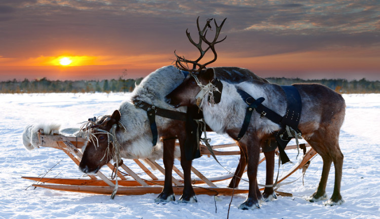 Ajet Hava Yolları İle Kuzey Işıkları Turu Lapland  Murmansk  St. Petersburg  Moskova  Tüm Panoramik Şehir Turları Dahil ( 5 Gece Otel Konaklamalı ): Tüm Panoramik Şehir Turları Dahil
Ajet Hava Yolları İle Uçuş
5 Sabah Kahvaltısı Fiyata Dahil
1 Gece St. Petersburg Konaklama
1 Gece Moskova Konaklama
1 Gece Murnmask Konaklama
