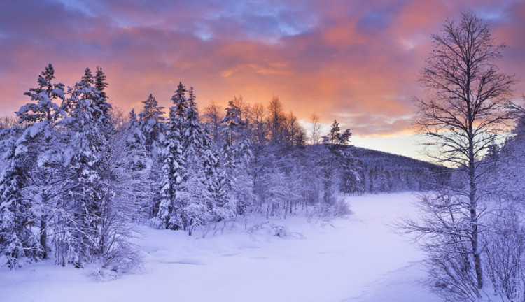 Vize Dahil Ajet Hava Yolları İle Kuzey Işıkları Turu Lapland  Murmansk  St. Petersburg  Moskova  Tüm Panoramik Şehir Turları Dahil ( 5 Gece Otel Konaklamalı ): Tüm Panoramik Şehir Turları Dahil
Ajet Hava Yolları İle Uçuş
5 Sabah Kahvaltısı Fiyata Dahil
1 Gece St. Petersburg Konaklama
1 Gece Moskova Konaklama
1 Gece Murnmask Konaklama