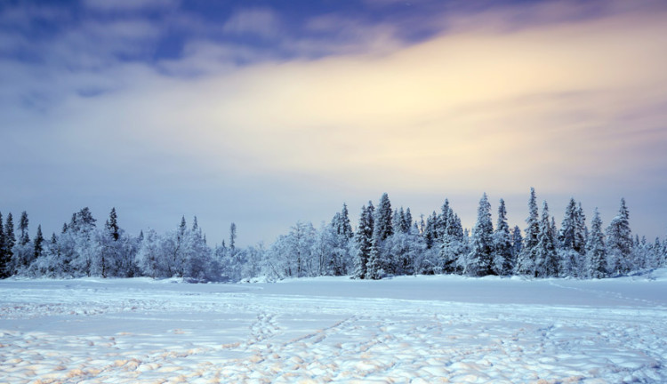 Vize Dahil Ajet Hava Yolları İle Kuzey Işıkları Turu Lapland  Murmansk  St. Petersburg  Moskova  Tüm Panoramik Şehir Turları Dahil ( 5 Gece Otel Konaklamalı ): Tüm Panoramik Şehir Turları Dahil
Ajet Hava Yolları İle Uçuş
5 Sabah Kahvaltısı Fiyata Dahil
1 Gece St. Petersburg Konaklama
1 Gece Moskova Konaklama
1 Gece Murnmask Konaklama
