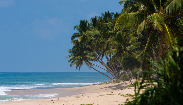 Sri Lanka Turu Türk Havayolları İle 8 Gün