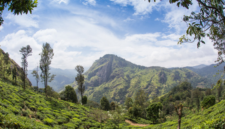 Sri Lanka Turu Türk Havayolları İle 8 Gün