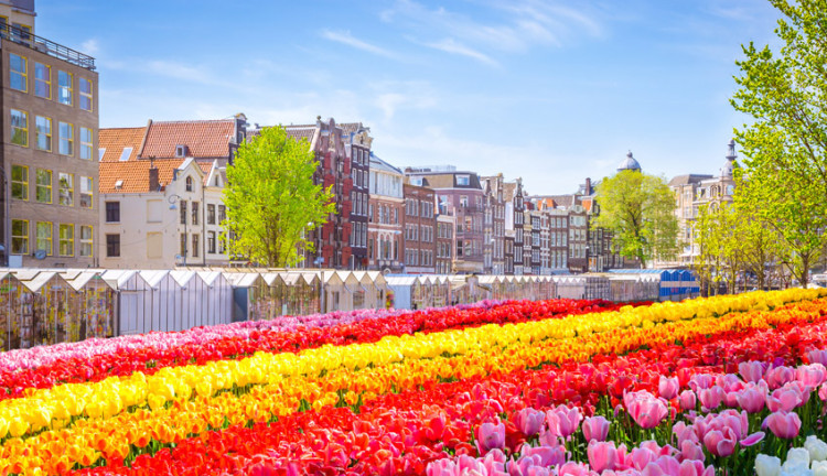 Ajet Hava Yolları İle Noel Pazarları Amsterdam Masalı Turu ( 3 Gece Konaklama ): Ajet Hava Yolları İle Uçuş
Noel Pazarları Turu
Amsterdam 3 Gece Konaklama
3 Sabah Kahvaltısı Fiyata Dahil
Amsterdam Panoramik Şehir Turu