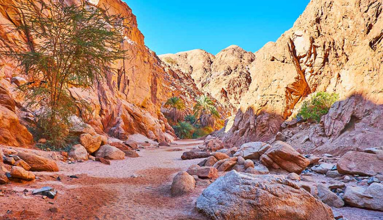 Ankara Esenboğa Havalimanı Kalkışlı Freebird Hava Yolları İle 3 Gece 4 Gün Kızıldeniz Rüyası; Prestij Sharm El Sheikh Turu (740)