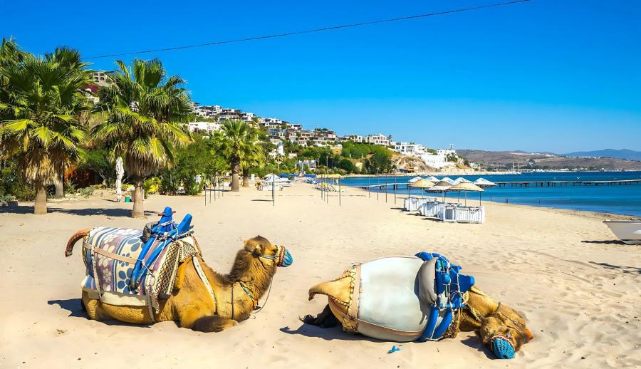 Bodrum Likya Akyaka Fethiye Ölüdeniz Yüzme ve Tekne Turu (3 Gece Otel Konaklamalı): İstanbul Sıcaklarından Bunalan Misafirlerimizi Yüzme ve Tekne Turuna Götürüyoruz :))) Bodrum, Fethiye Ölüdeniz Yüzme ve Tekne Turumuz ile İddia Ediyoruz, Yüzmeye Doyacaksınız. Keyifli ve Eğlenceli Bir Tur Sizleri Bekliyor, Geç Kalmadan Yerinizi Ayırtın!
