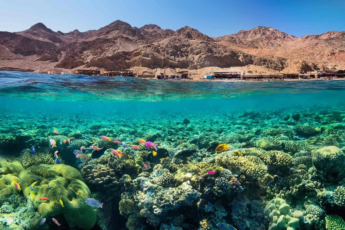 ROYAL SHARM EL SHEIKH TURU ANKARA ESENBOĞA KALKIŞLI PEGASUS Hava Yolları ile