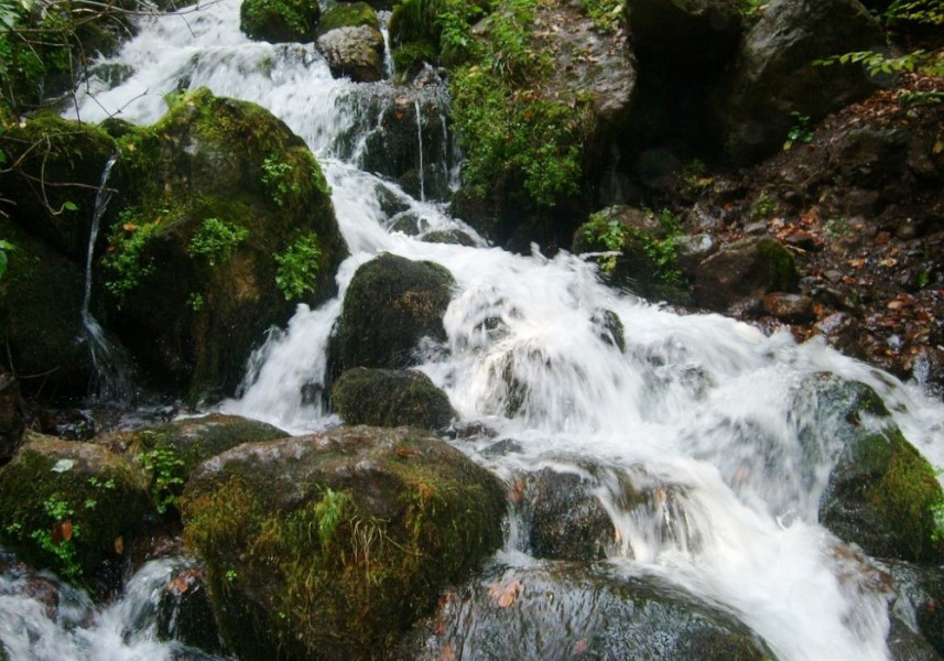 Ankara Hareketli Günübirlik Yedigöller Turu 
