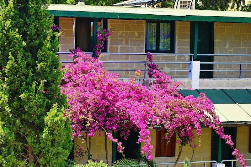 Hotel Bleu Nuit Bodrum