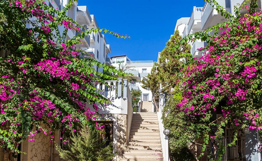Smart Holiday Hotel