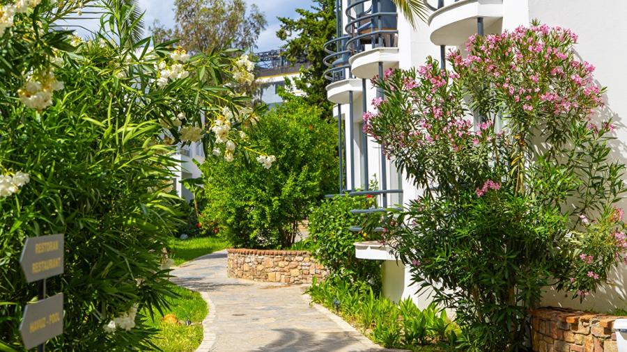 Ladonia Leo Beach Resort Hotel