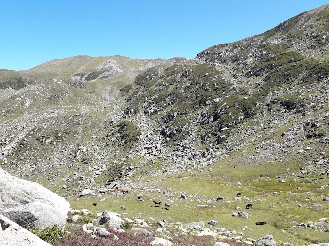 Kaçkar Dağı Zirve Tırmanışı (Yayla Evleri-Dadala Pansiyon konaklamalı)