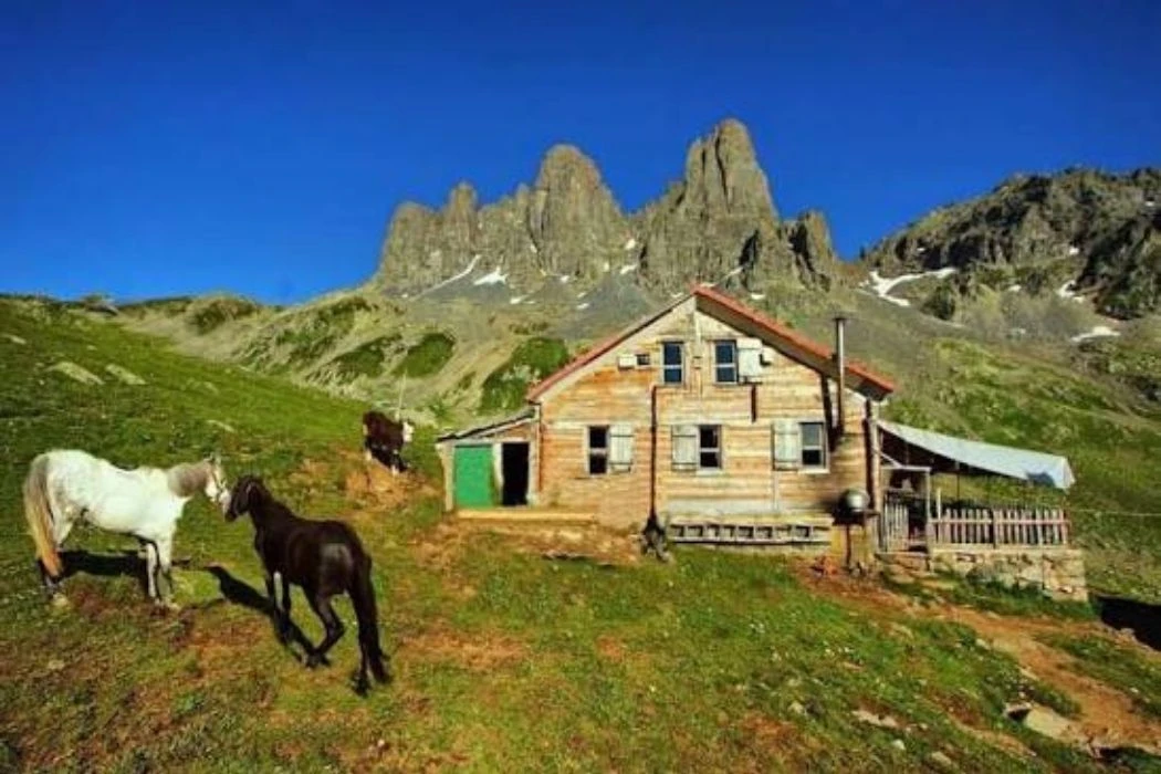 Kaçkar Dağı Zirve Tırmanışı (Yayla Evleri-Dadala Pansiyon konaklamalı)
