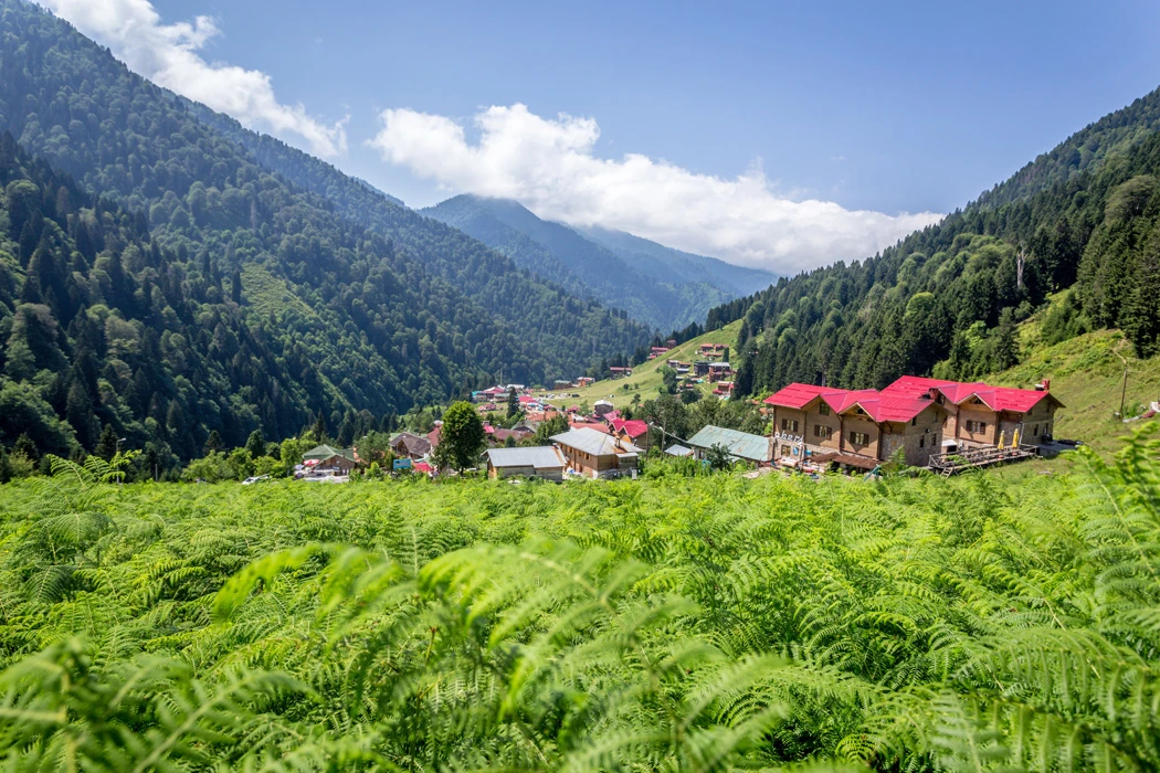 Rize/Ayder & Batum Turu(Rize-çıkışlı)